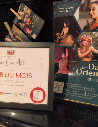Grenoble OMS - Terre des Arts : Club du mois de Novembre 2025