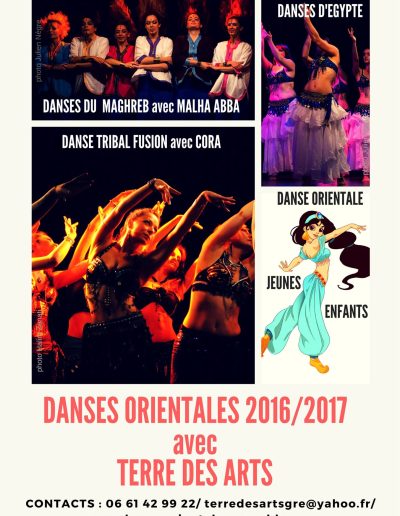 Planning Cours 2016 2017 flyer