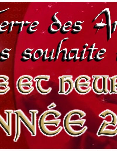 Terre des Arts - Bonnee année 2011